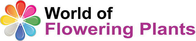 World of Flowering Plants